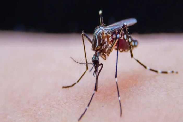 suncitygroup太阳集团(中国)-官方网站